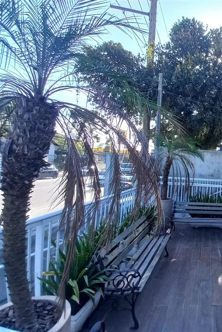 Entrada da clínica, na Rua dos Pescadores